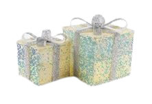 6" & 8" Silver & Yellow Glitter Gift Box Set