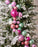 4 FT Multicolor Glitter Ball Garland