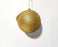 5" Glitter Ball Ornament