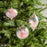 5" Pink Clear Ball Ornament Assortment