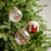 5" Peppermint Assorted Ornament
