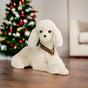 13" White Poodle with Collar