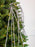 43" Rain Hanging Branch