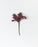 5" Red Berry Pick