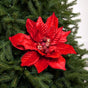 16" Red Velvet Poinsettia Stem