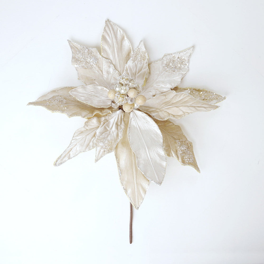 20" Light Champagne Poinsettia