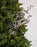 25" Glitter Leaf Spray
