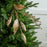 32" Glittered Twig Spray