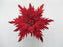 12" Glitter Poinsettia Clip Set Of 6