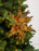 12" Glitter Poinsettia Clip