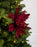 12" Glitter Poinsettia Clip