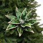 14" Green Poinsettia Stem