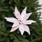 17" Pink Poinsettia Stem