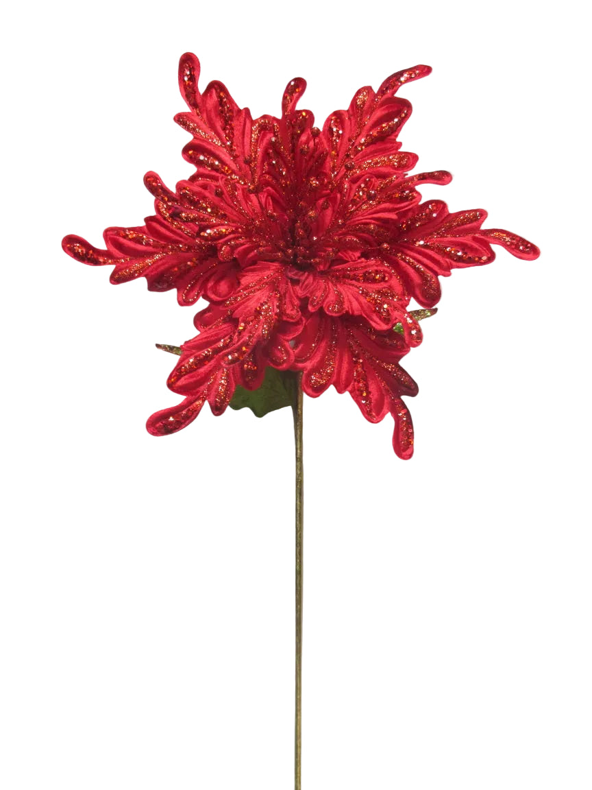 26" Velvet Giant Poinsettia