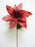 29" White Velvet Poinsettia Set Of 6