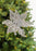 25" Gold Net Mesh Poinsettia