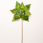 17" Green Velvet Poinsettia