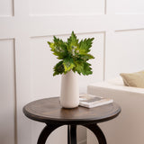 17" Green Velvet Poinsettia