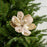 11" Platinum Velvet Magnolia