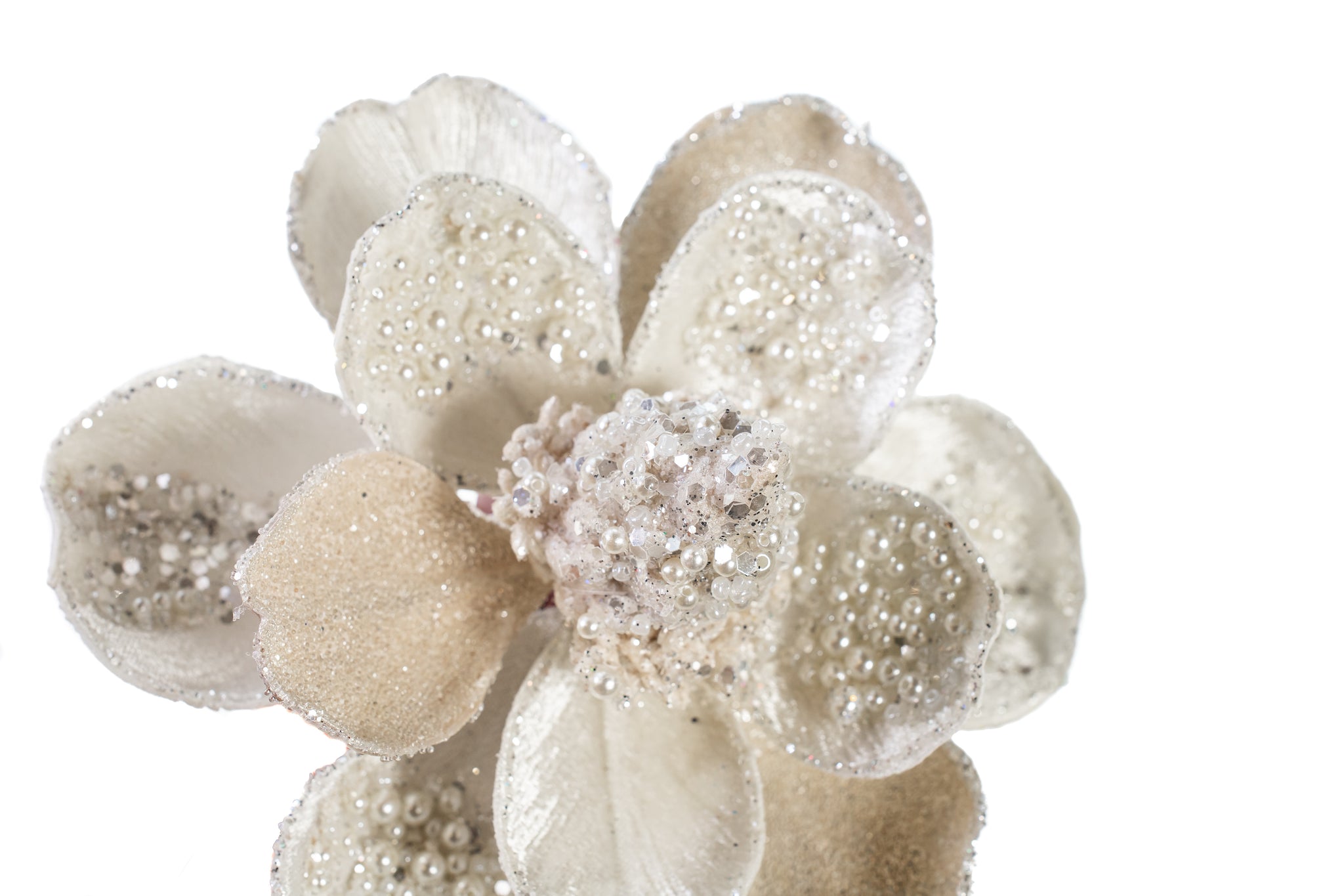 17" Snow Cream Magnolia Stem With Leaves