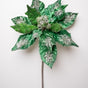 20" Emerald & Silver Giant Poinsettia