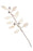 30" Icy White Mini Pomegranate Leaf Spray