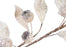 30" Icy White Mini Pomegranate Leaf Spray