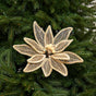 17" Champagne Poinsettia Stem