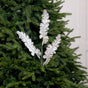 32" Platinum Acanthus Spray