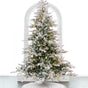 9 FT Grandis Fir Snowy Tree Pre Lit Warm White Micro Led Lights