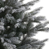 9 FT Grandis Fir Snowy Tree Pre Lit Warm White Micro Led Lights