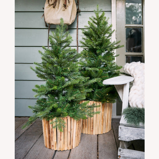 Grandis Fir Tree Pre Lit Battery Operated