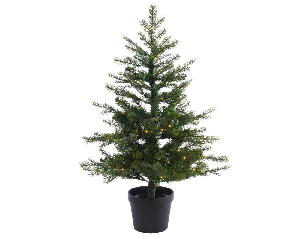 3 FT Grandis Fir Tree Pre Lit Battery Operated