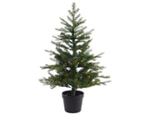 3 FT Grandis Fir Tree Pre Lit Battery Operated
