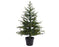 Grandis Fir Tree Pre Lit Battery Operated