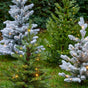 Allison Pottable Snowy Tree Micro Warm White LED