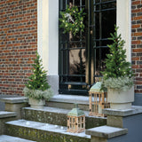 Allison Pottable Tree Micro Warm White LED