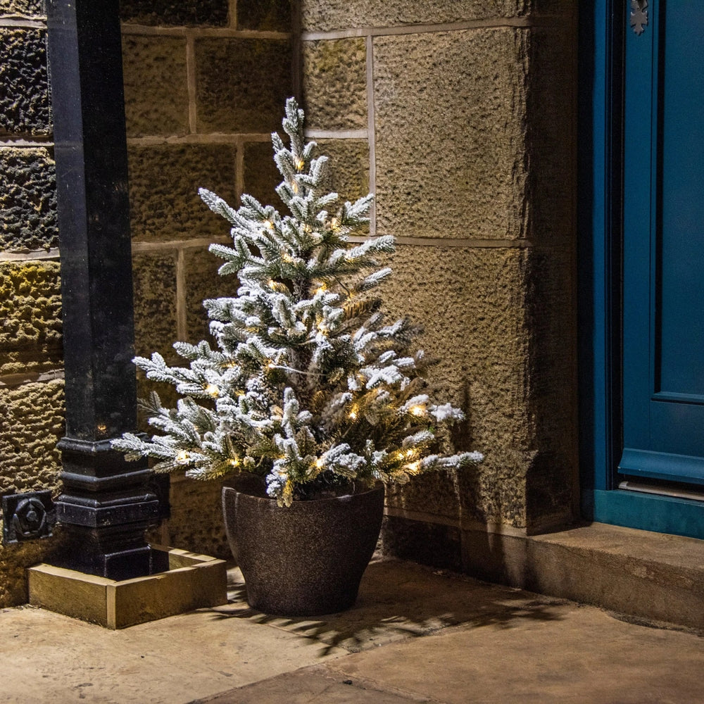 Norway Potted Snowy Micro Warm White LED