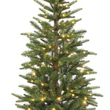 Alpbach Fir Warm White & Multi Micro LED Lights