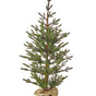 Sapling Spruce Burlap Tree Unlit