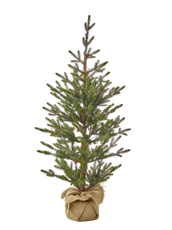 Sapling Spruce Burlap Tree Unlit