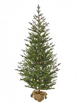 Sapling Spruce Burlap Tree Unlit