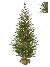 Sapling Spruce Burlap Tree Pre Lit Dual LED