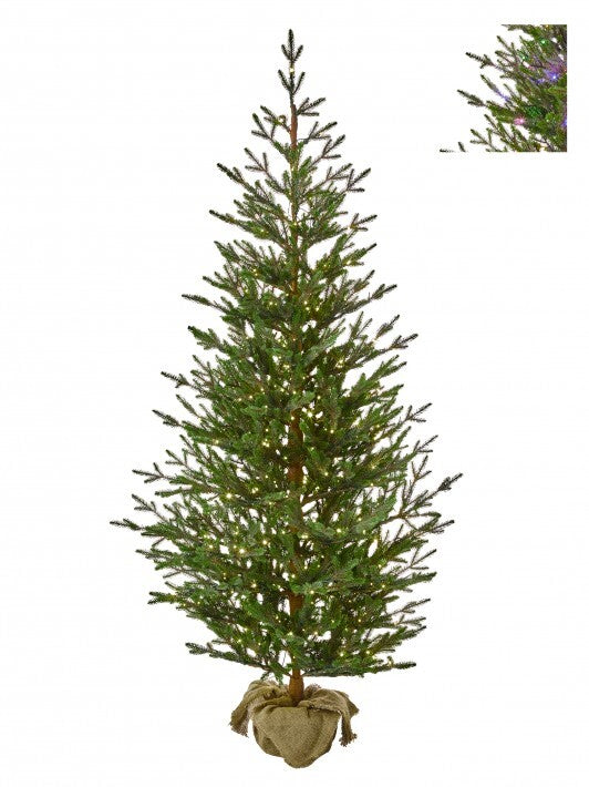 Sapling Spruce Burlap Tree Pre Lit Dual LED