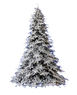 15 FT Snow Pine Slim Pre Lit Warm White LED Lights