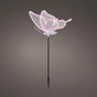 13" Soft Multi LED Butterfly With Motion