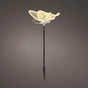 8" Warm White LED Butterfly With Motion