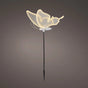 13" Warm White LED Butterfly With Motion