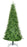 Vail Spruce Tree Unlit