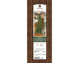 Levi Fir Tree Pre Lit Soft Warm LED Lights